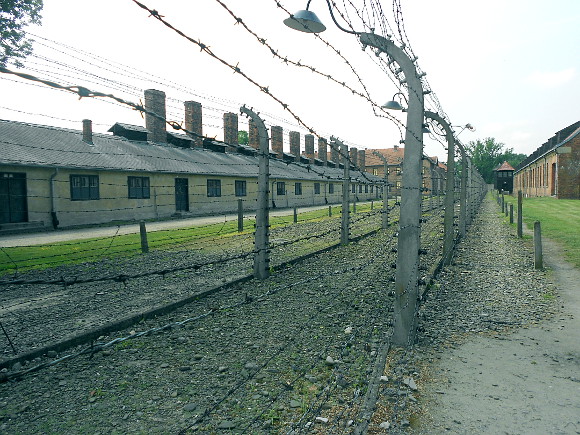 Auschwitz (Crédito: Bruno Mattos)