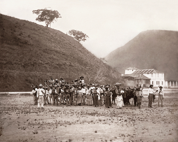 Marc Ferrez/ Coleção Gilberto Ferrez/ Acervo Instituto Moreira Salles | Partida para a colheita de café com carro de boi | Vale do Paraíba, c. 1885